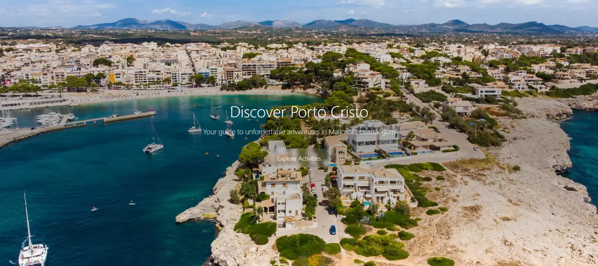 Portfolio project showcasing business growth 8